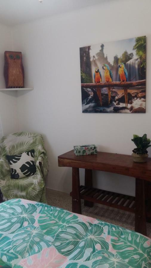 Appartement F3 Valescure Saint-Raphaël エクステリア 写真
